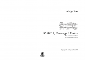 Matiz I, Hommage a Varese image